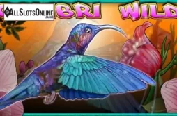 Colibri Wild