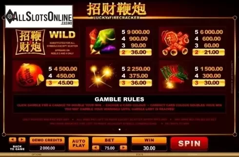 Screen3. Lucky Firecracker from Microgaming