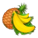 icon 3