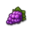icon 4