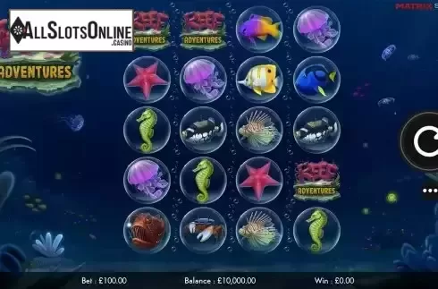 Reel screen