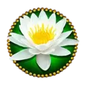 icon 5