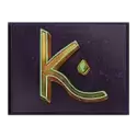 icon 9