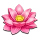 icon 3