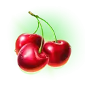 icon 9