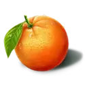 icon 5