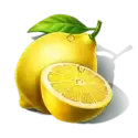 icon 10