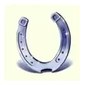 icon 5