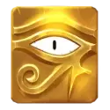 icon 9
