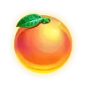 icon 6