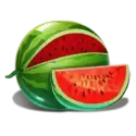 icon 4