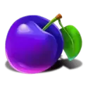 icon 5