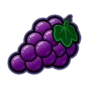 icon 5