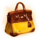 icon 4
