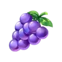 icon 6