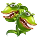 icon 4