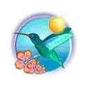 icon 2