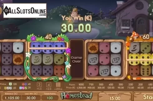 Win Screen 3. Homestead from Air Dice