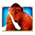icon 1