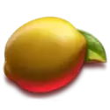 icon 4