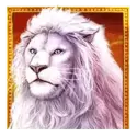 icon 12