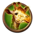 icon 3