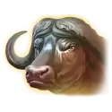 icon 4