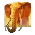icon 1