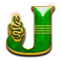 icon 9