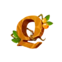 icon 9