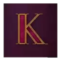 icon 6