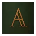 icon 5