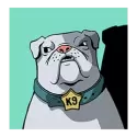 icon 4