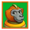 icon 5