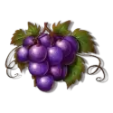 icon 4