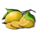 icon 7
