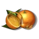 icon 6