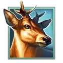 icon 2