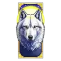icon 9
