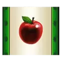 icon 7
