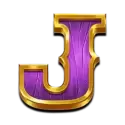icon 9