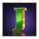 icon 13