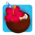 icon 6
