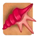 icon 4