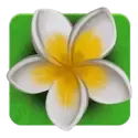 icon 7