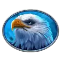 icon 4
