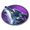 icon 5