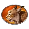 icon 6