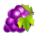 icon 4