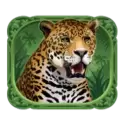 icon 4